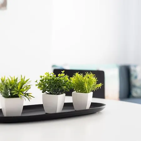 Home2book Paradise Cristianos, Pool & Wifi Apartment *